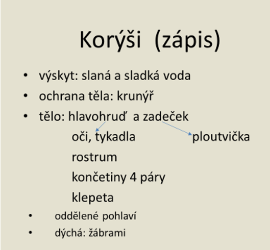 korýši prez..ppt